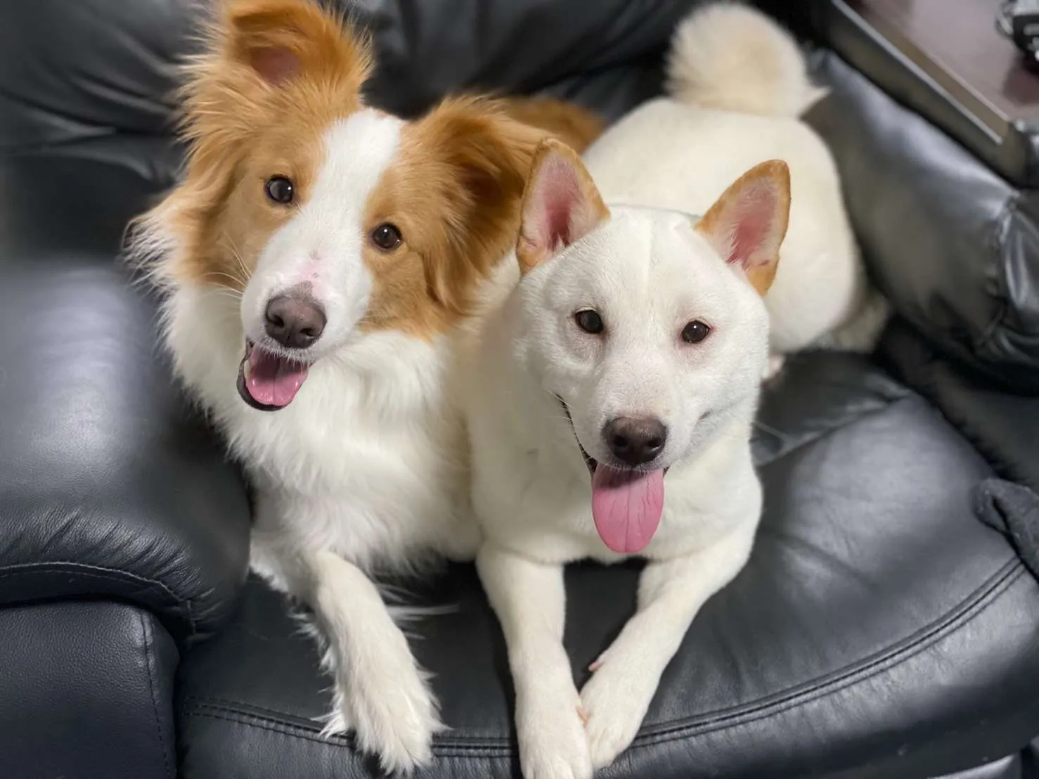 株式会社坂田工務店